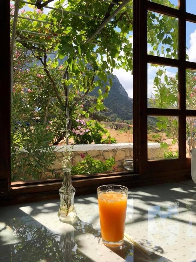 الشقق الفندقية Adiaفي  Kathys Island Retreat المظهر الخارجي الصورة