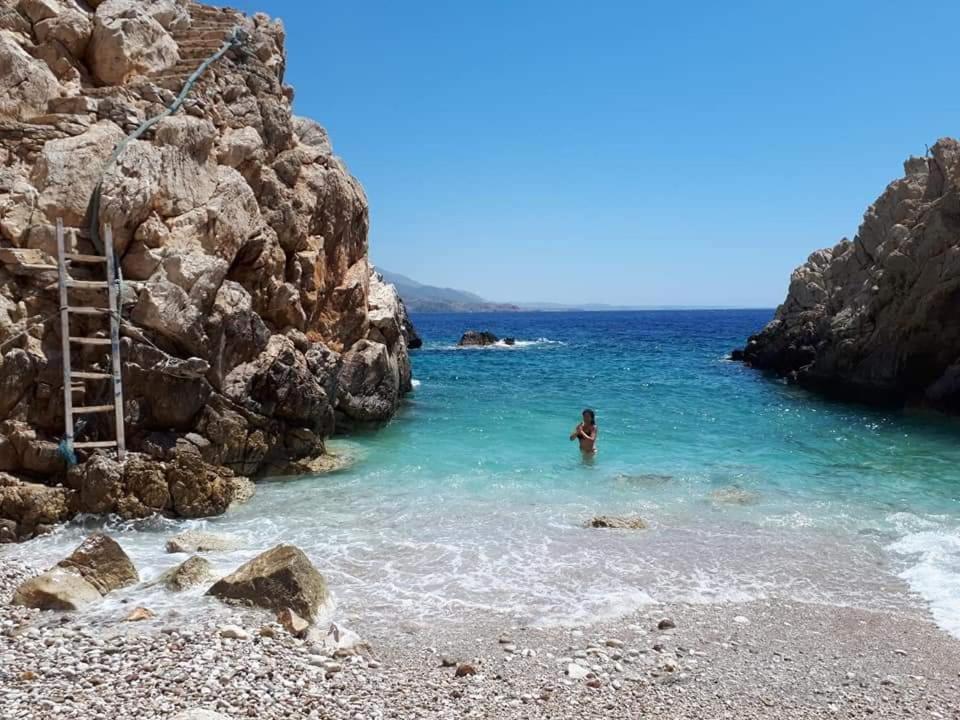 الشقق الفندقية Adiaفي  Kathys Island Retreat المظهر الخارجي الصورة