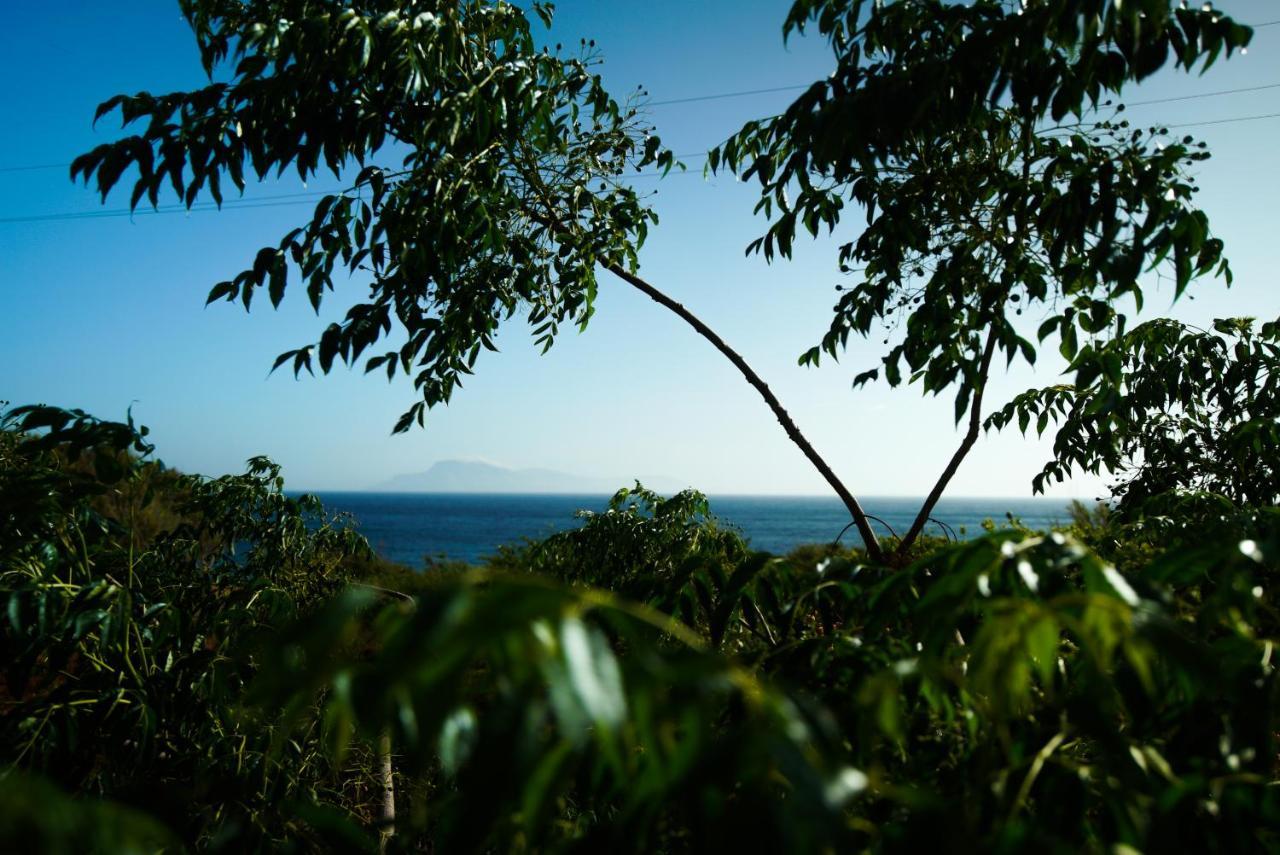 الشقق الفندقية Adiaفي  Kathys Island Retreat المظهر الخارجي الصورة