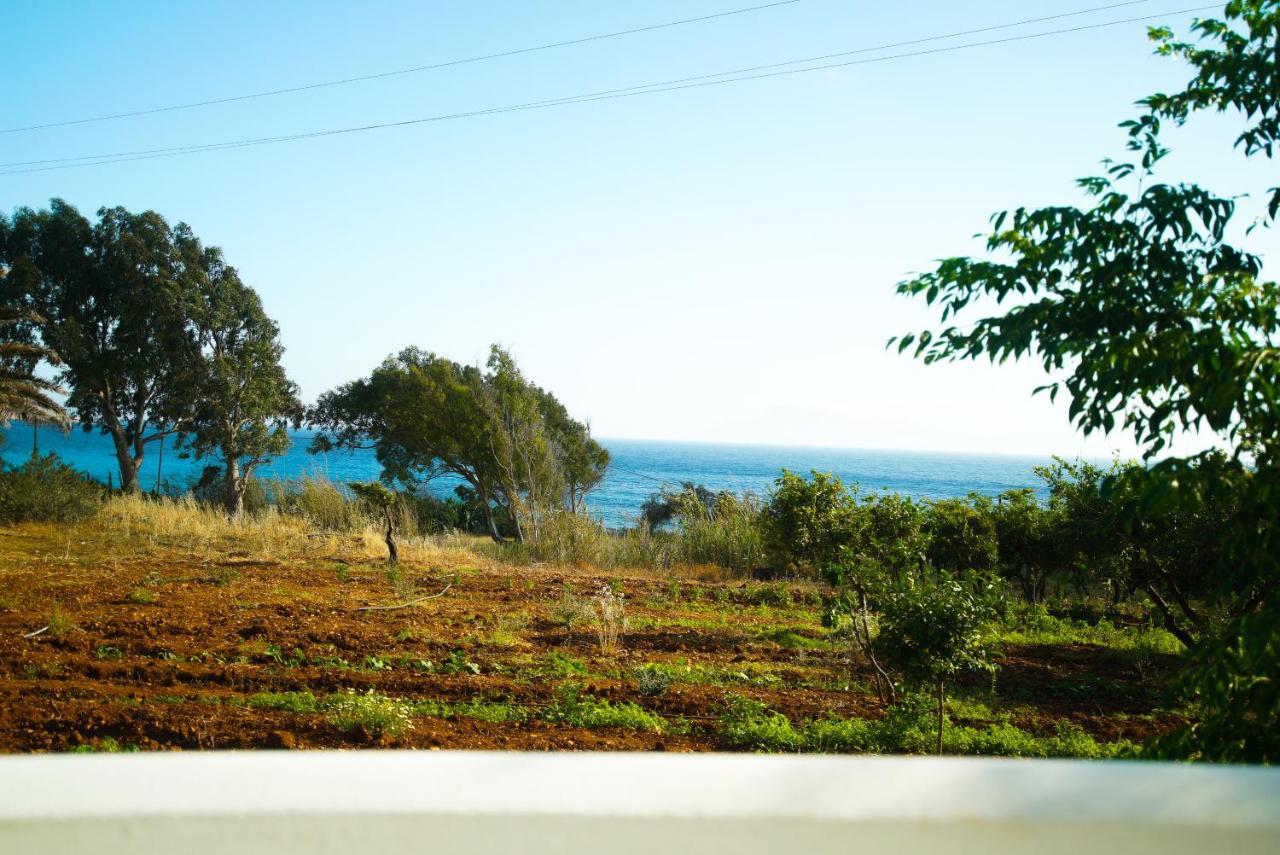الشقق الفندقية Adiaفي  Kathys Island Retreat المظهر الخارجي الصورة