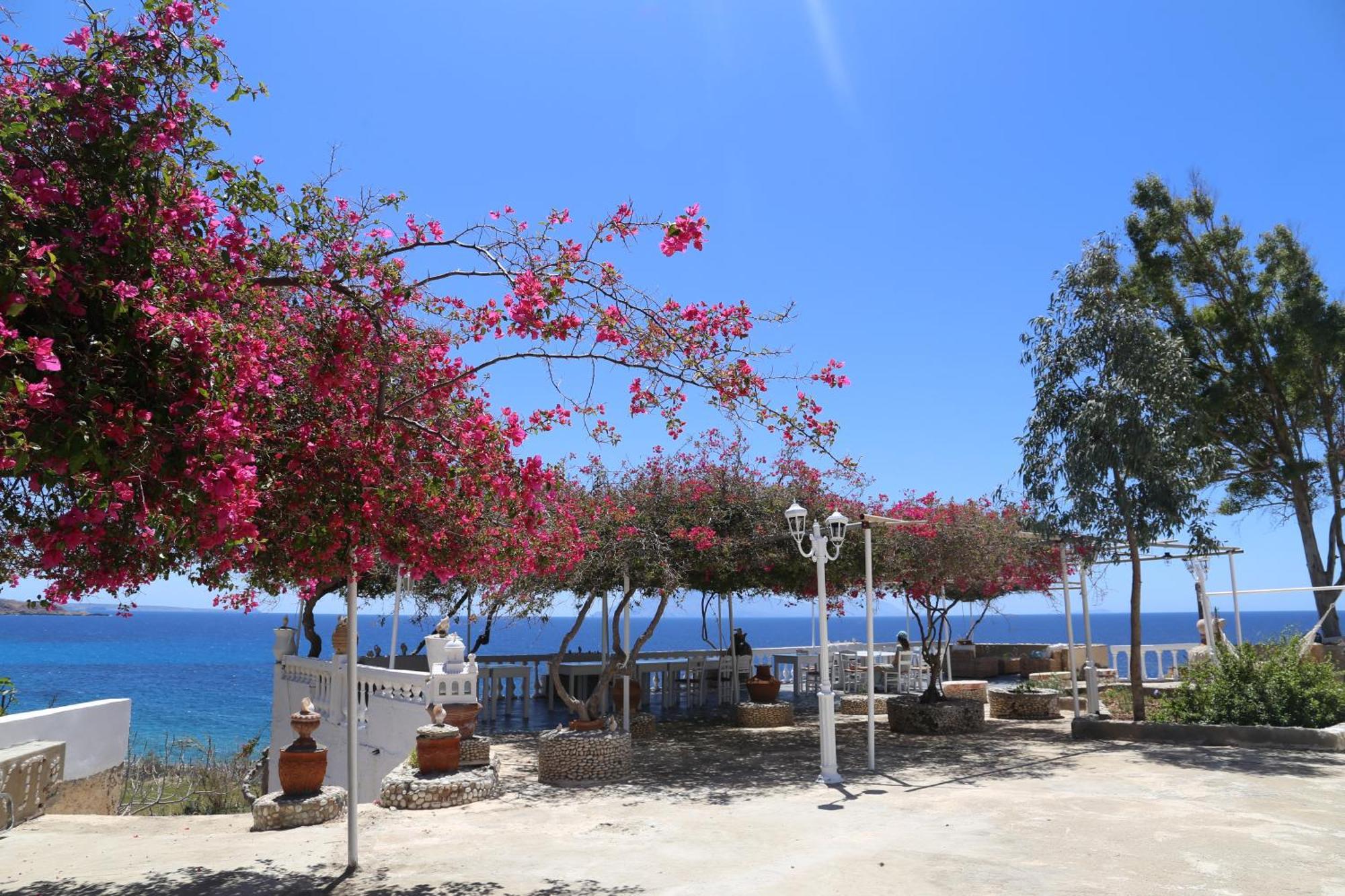 الشقق الفندقية Adiaفي  Kathys Island Retreat المظهر الخارجي الصورة